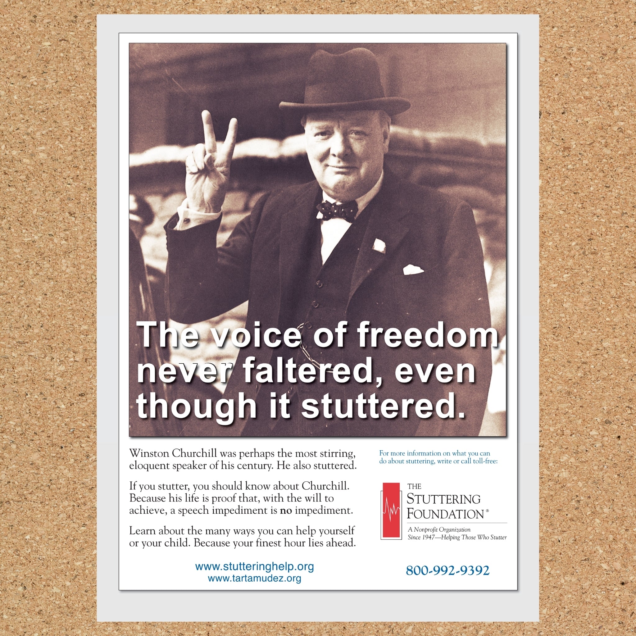 Winston Churchill Poster